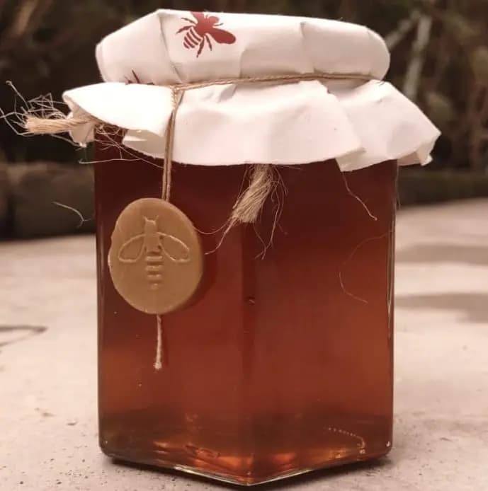 Exclusive: Honey may surprisingly heal multiple wounds: Study