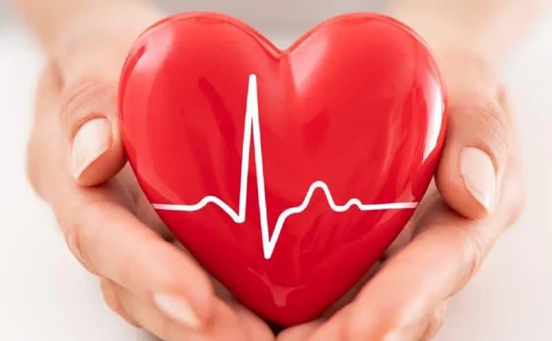 these all tricks can protect your heart from many diseases and makes you healthy lif