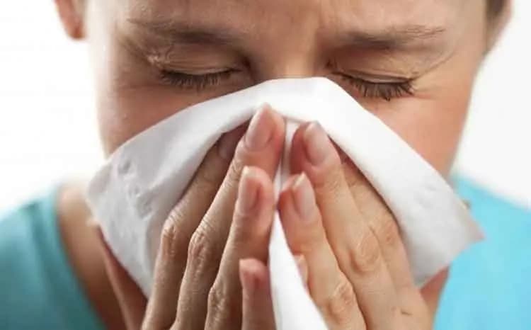 Next pandemic likely to be caused by flu virus