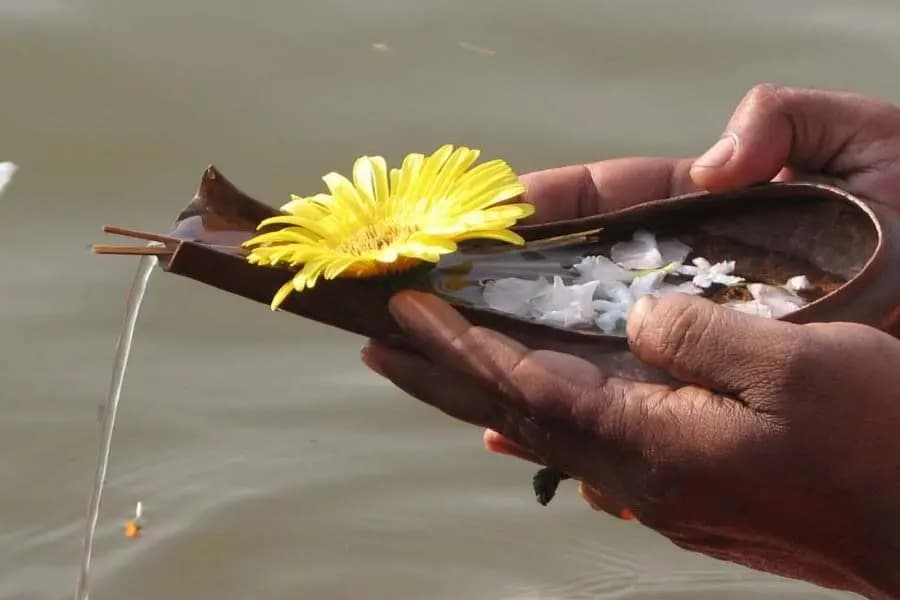 why tarpan is important in mahalaya when did the ritual start  lif