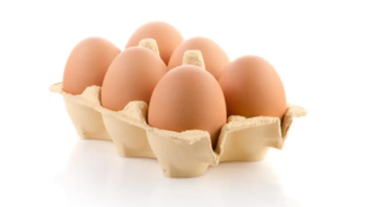How to identify real and fake plastic eggs here's the details lif