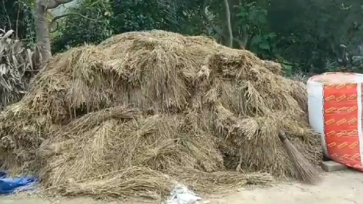 Tragic Death of Farmer Electrocuted by Rice Threshing Machine in East Burdwan gnr