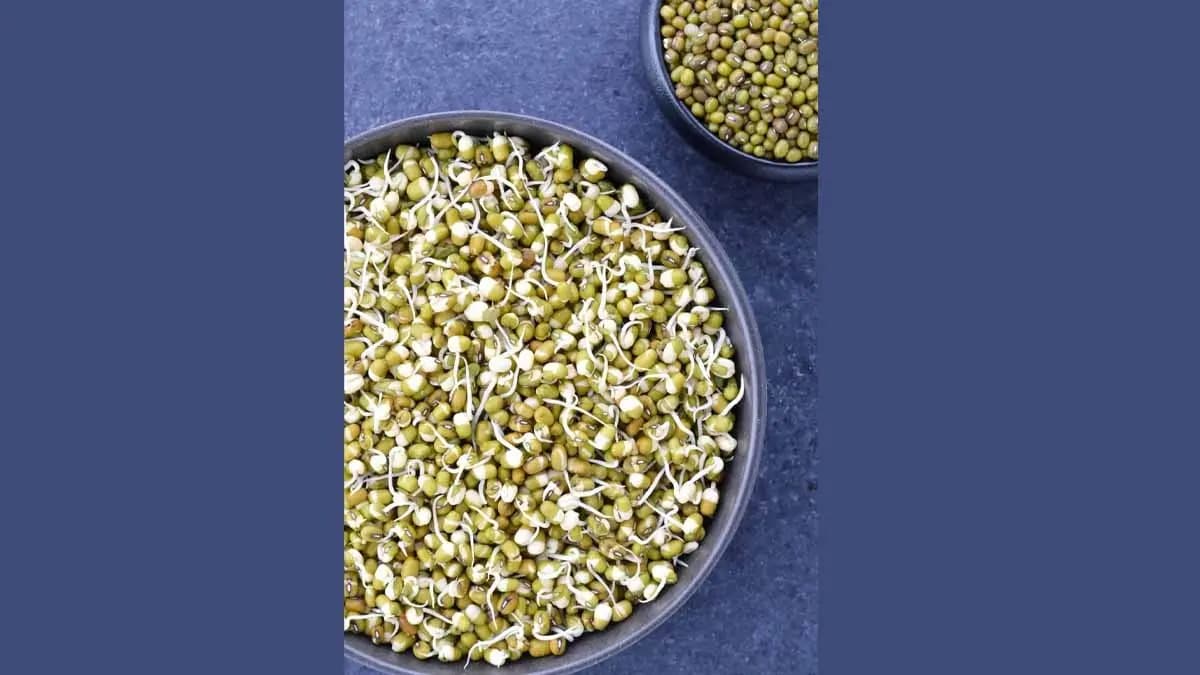 Sprouts mung daal can destroy Cancer cell and prevent diabetes problem, maintains weight management also lif