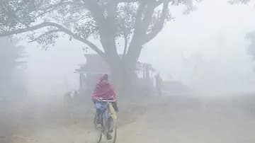 India Faces Another Warm December, Above Normal Temperatures Predicted This Winter gnr 