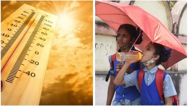 summer vacation in state schools from Monday, notification issued