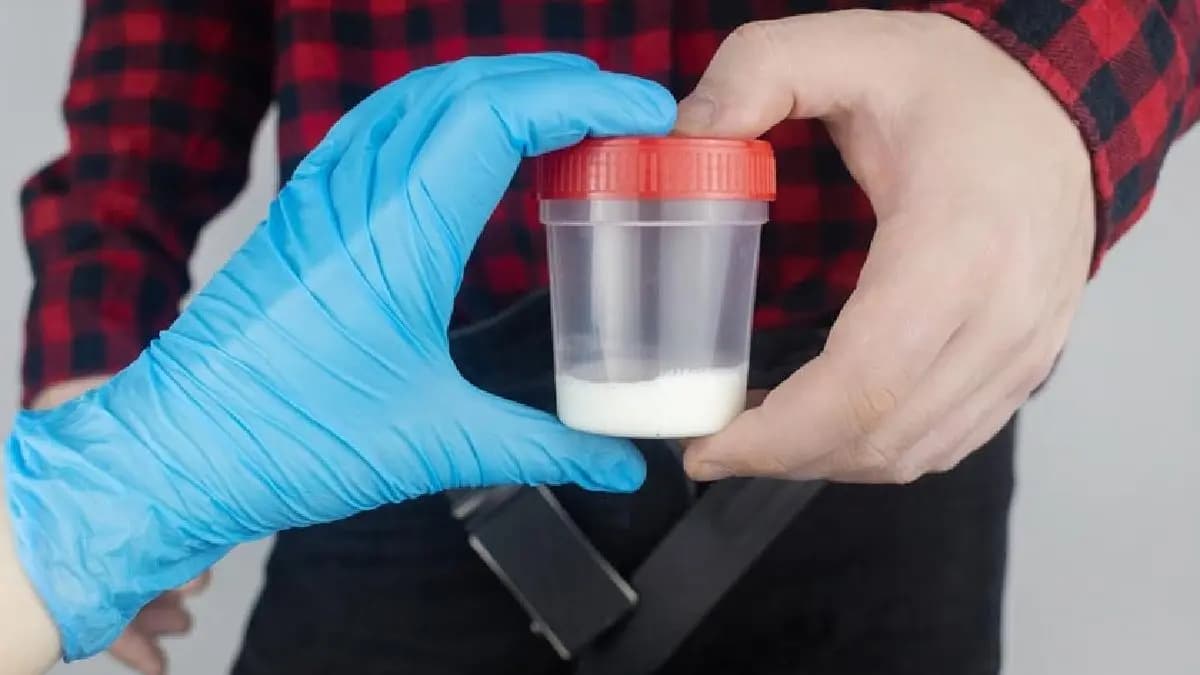 these are the rules one should folllow to donate seed