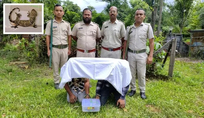 from alipurduar two persons arrest for smuggle geko gnr