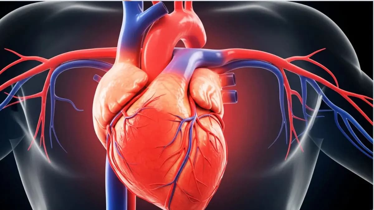 Health tips eating a single clove every day can improve heart health lower cholesterol