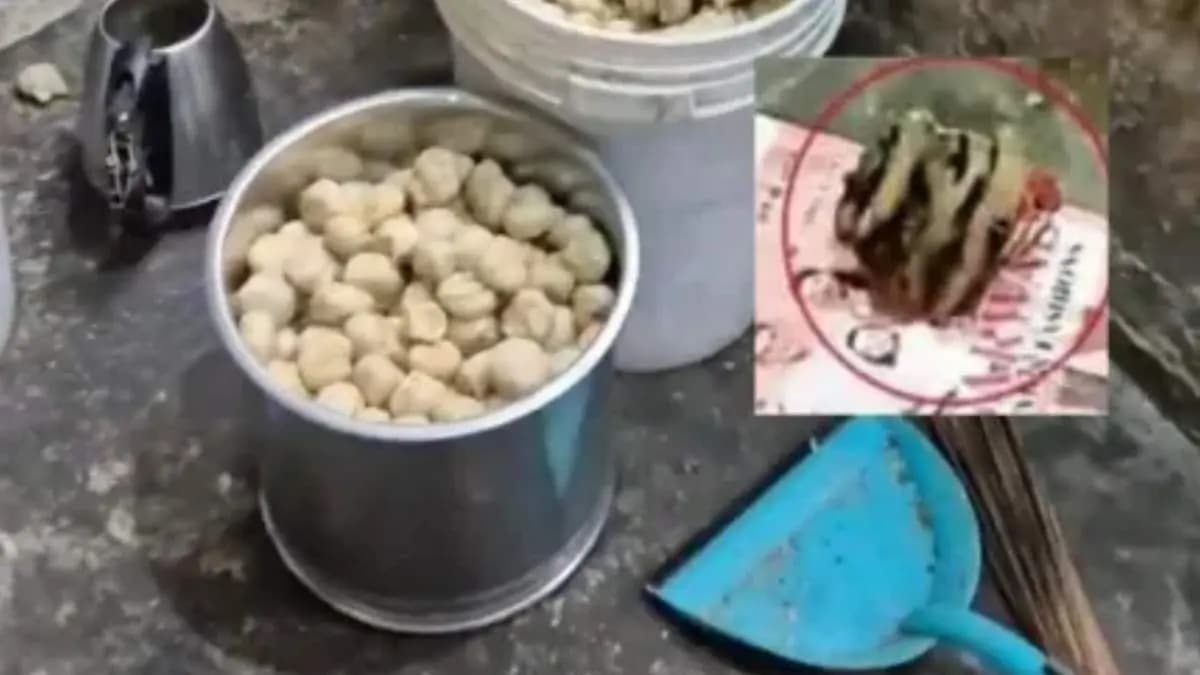 Mohali momo factory allegedly served momo stuffed with dog meat 