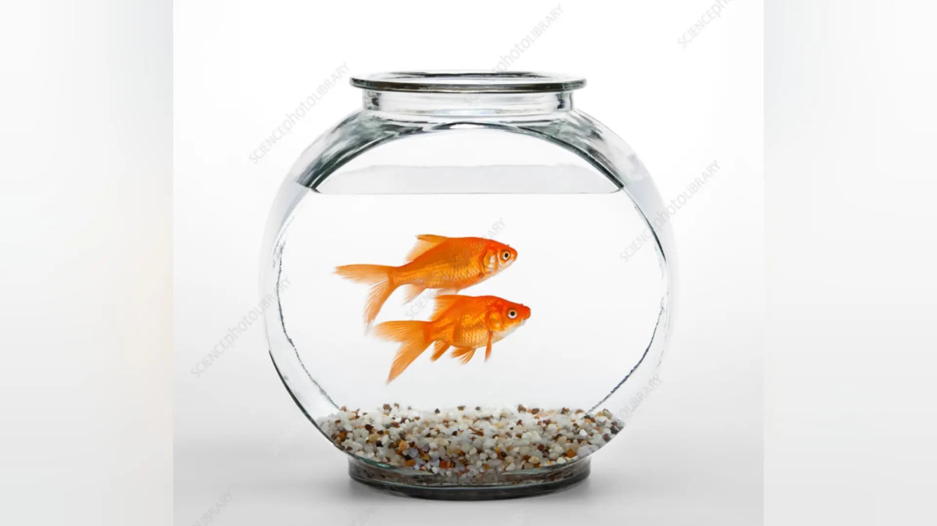 how  to check positive and negetive energy in your home lif