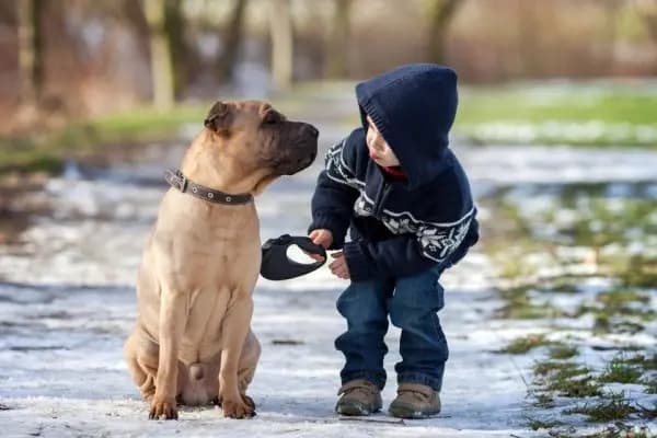 Even pet dogs may keep your child healthy, know how