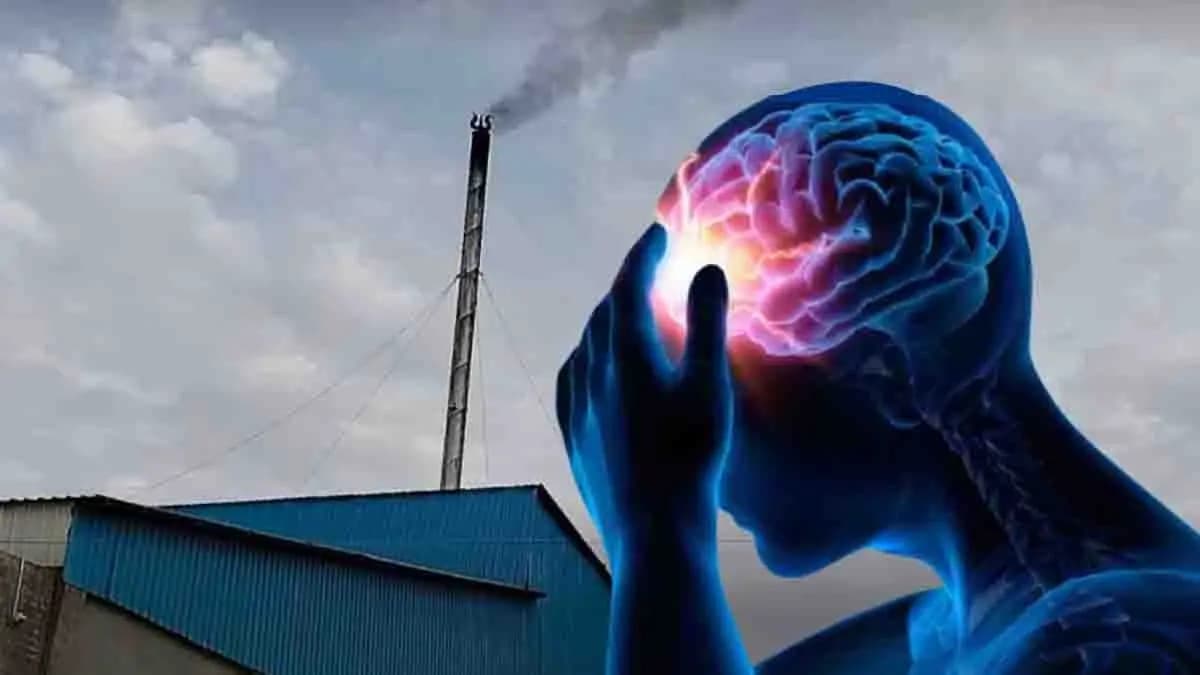Air Pollution Top Risk Factor For Brain Stroke gnr