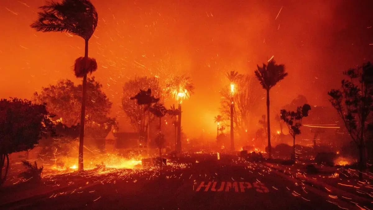 Wildfire wreaking Los Angeles, but the AQI is still far better than Delhi, why gnr