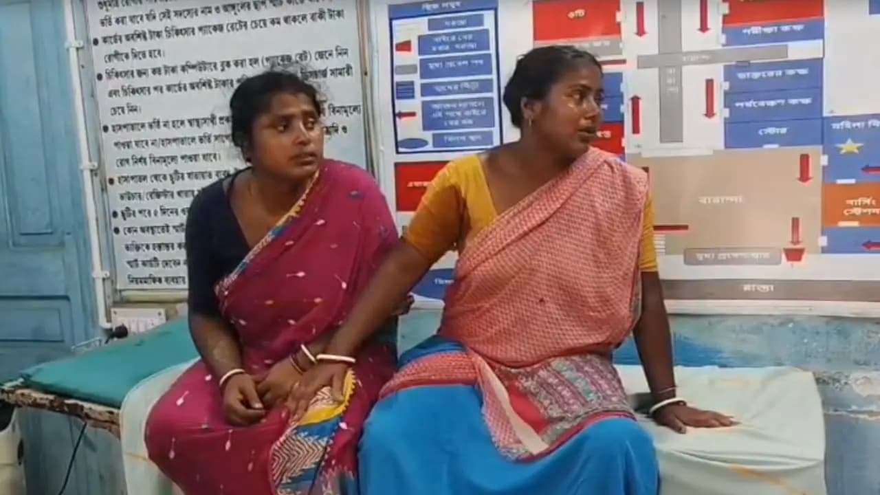 Bengal Elections 2026: Brawl between TMC and BJP in Mayna