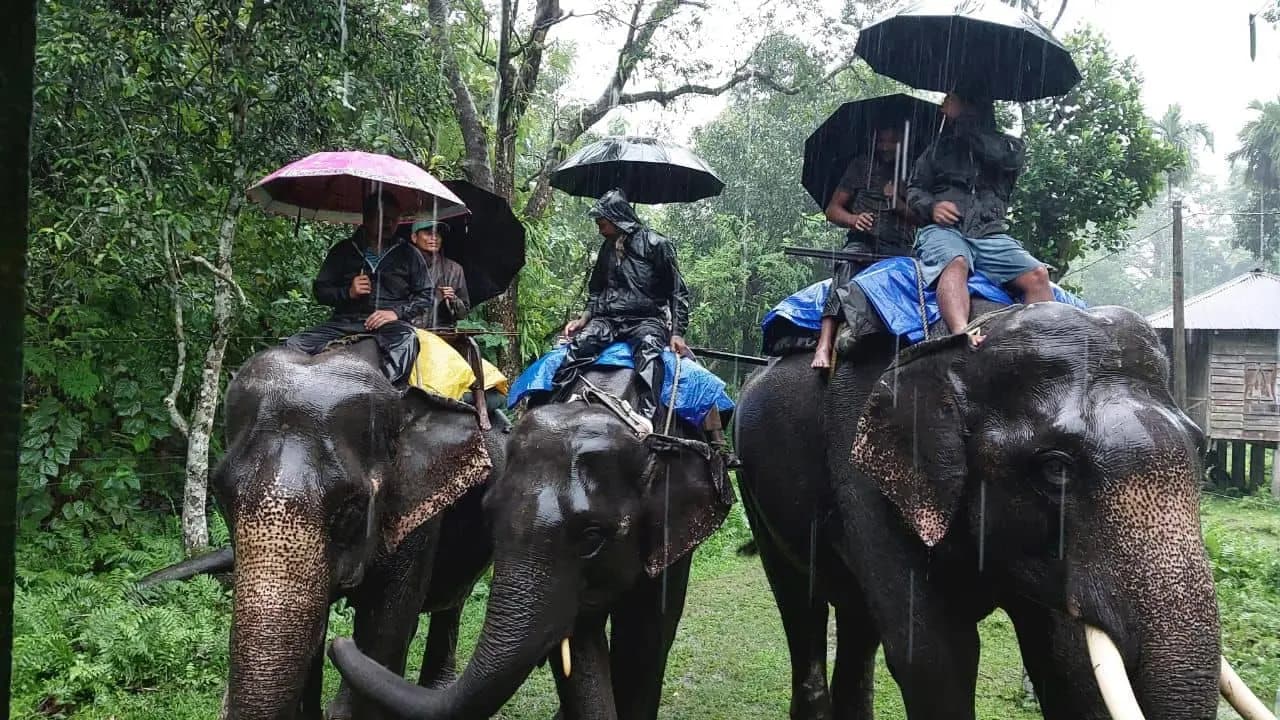 Forest department steps up to prevent poaching in Jaldapara