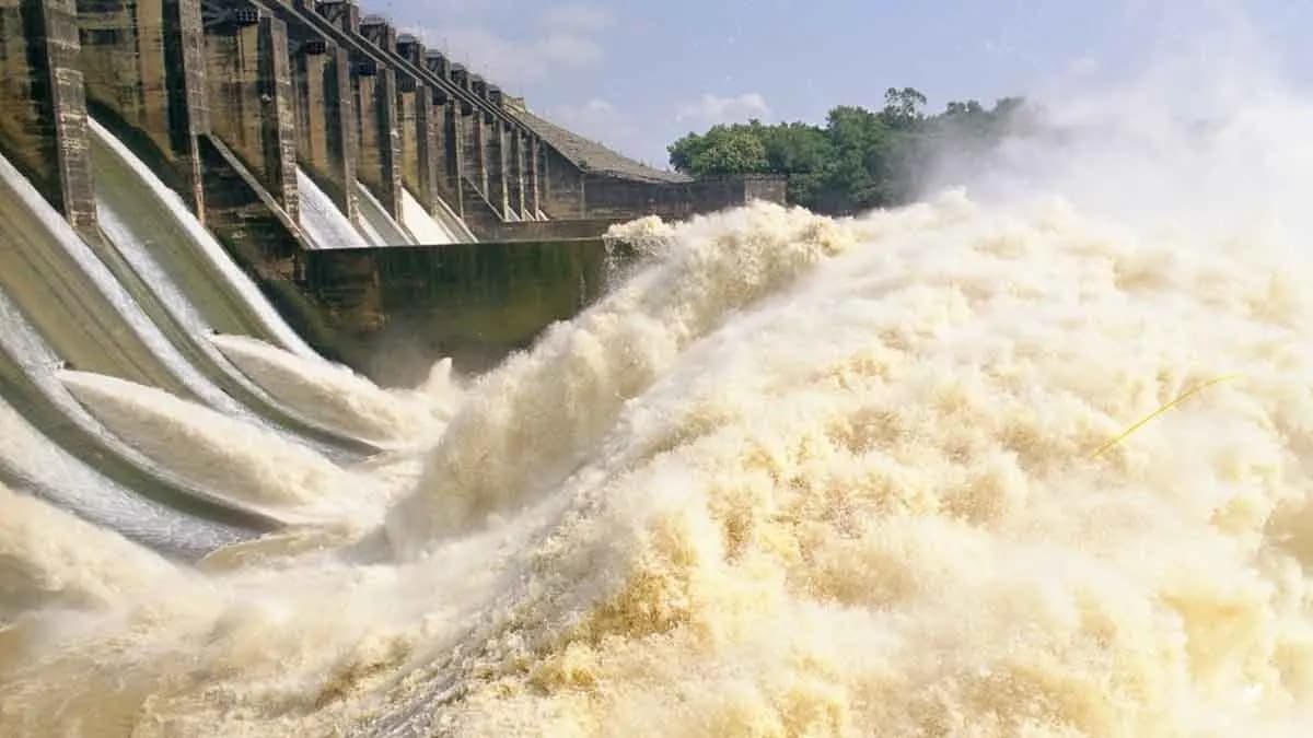 dvc releases more water from maithon and panchet dam gnr