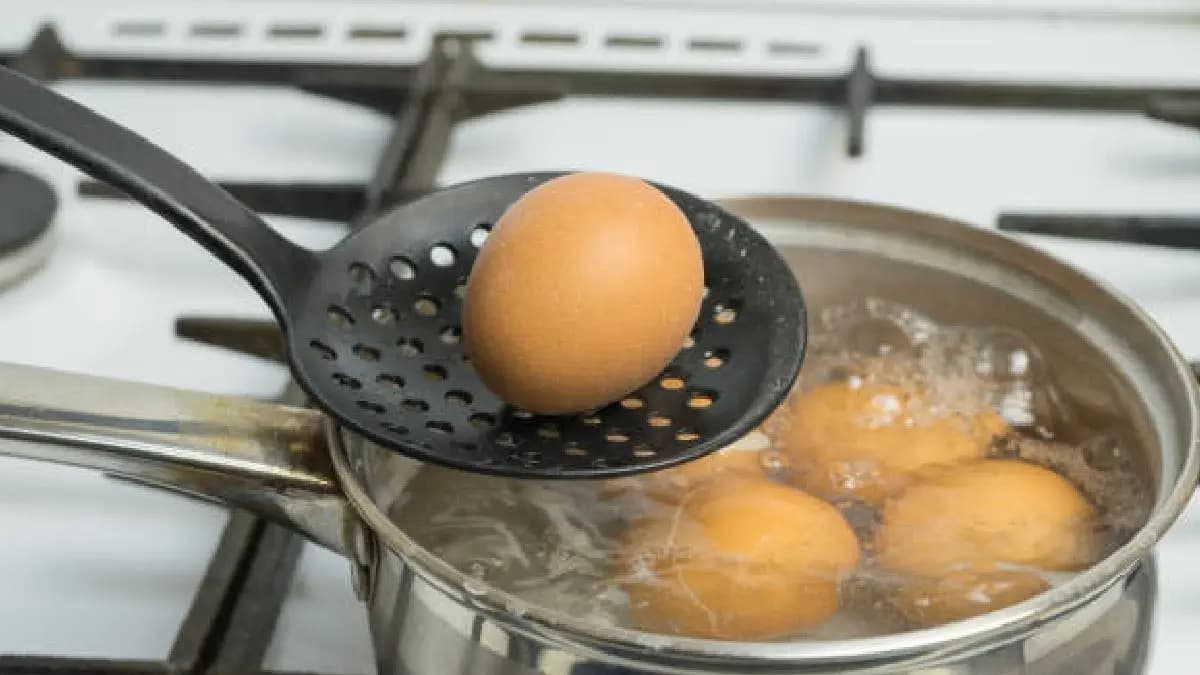 Water After Boiling Eggs  Never Throw Away know the reason now gnr 