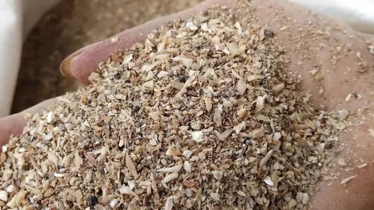 Natural urea you will be amazed to know about this natural wonder