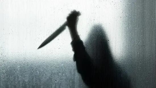 Teen Stripped Stabbed Multiple Times In Delhi's Haiderpur