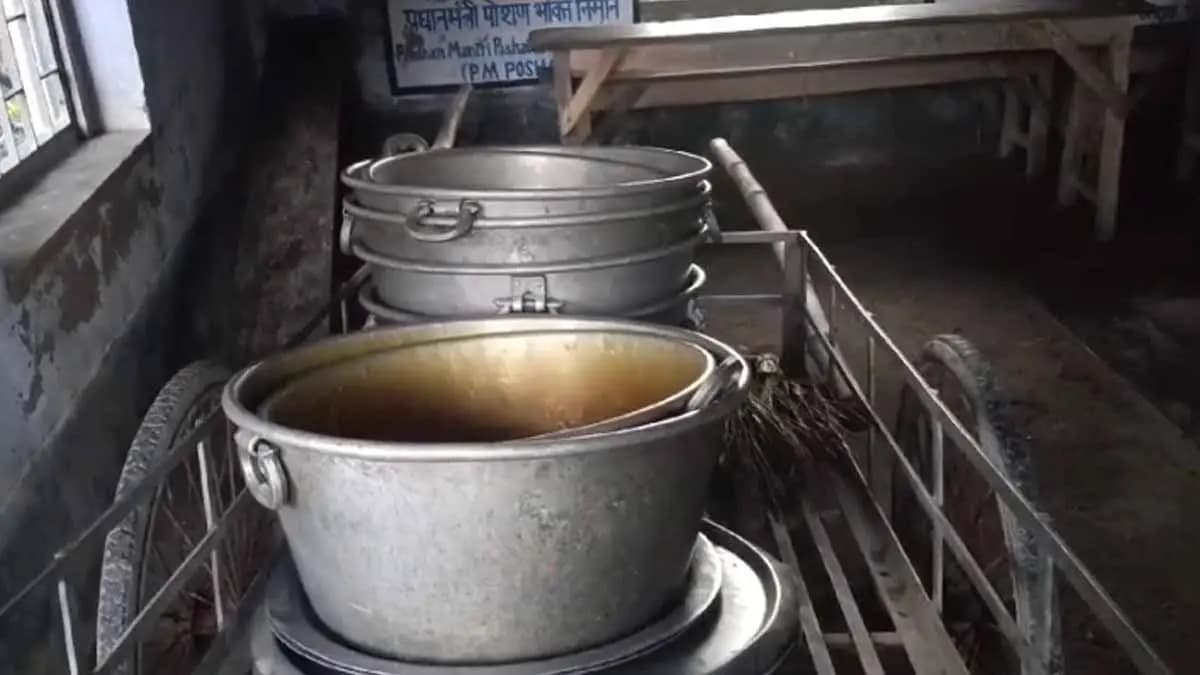 small lizard found in mid day meal, students ill gnr