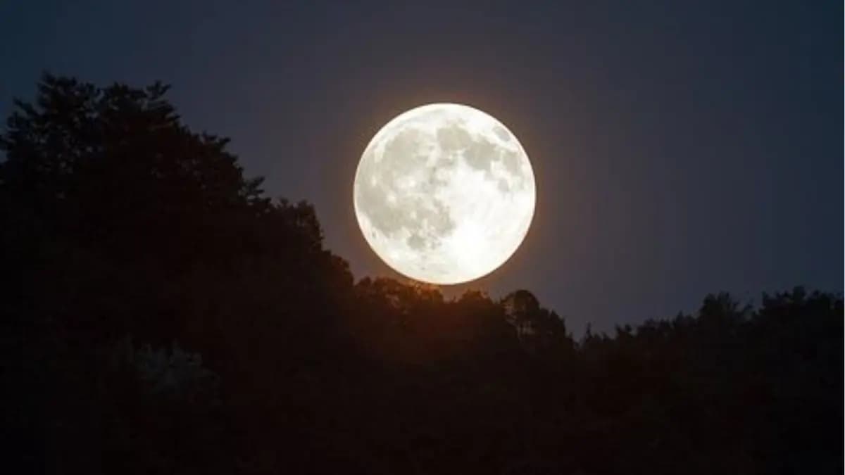 Maghi Purnima 2025 four zodiac signs will get good luck by rare yog on this auspicious day lif