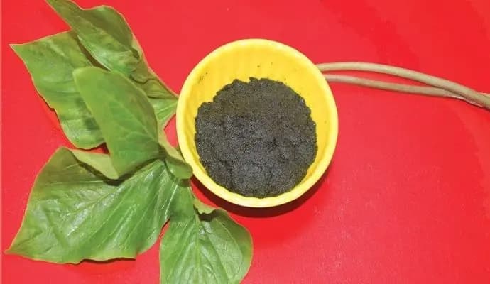 Know the health benefits of various leaves to reduce pain