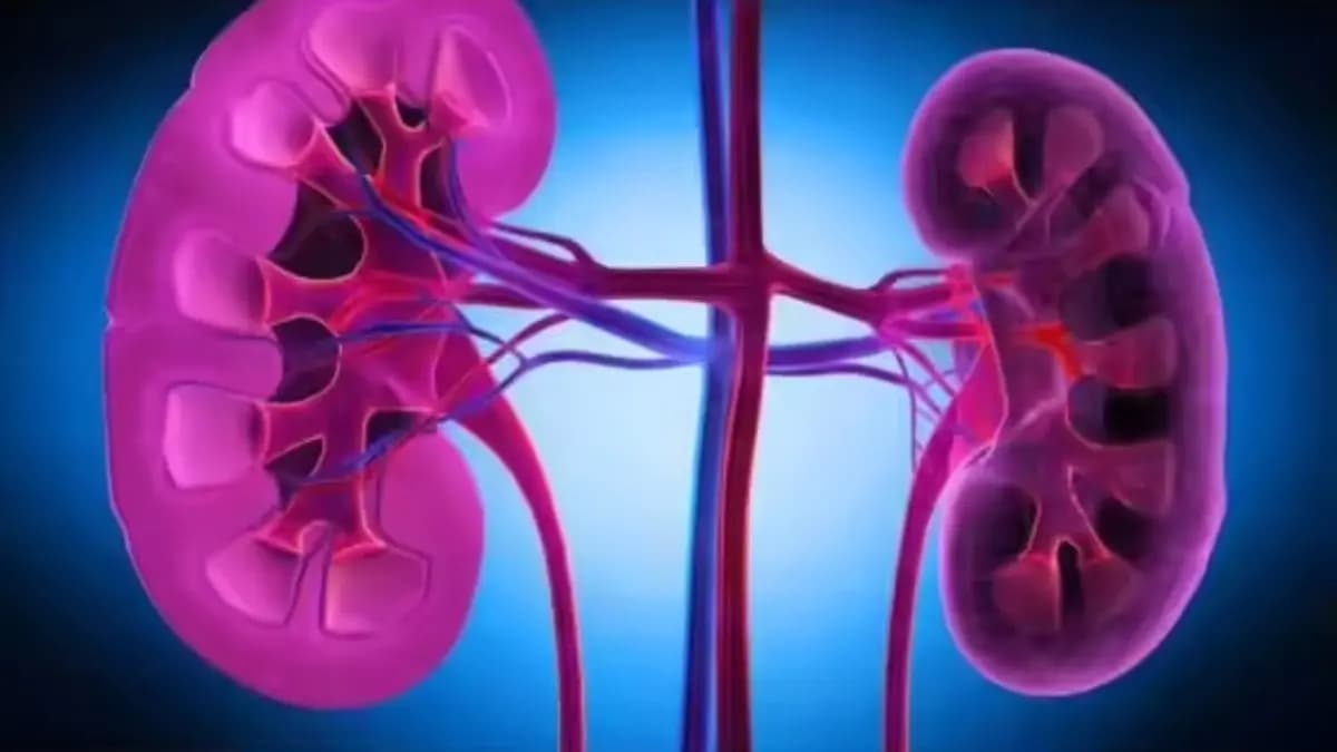 These Signs of early kidney disease seen in legs and hands