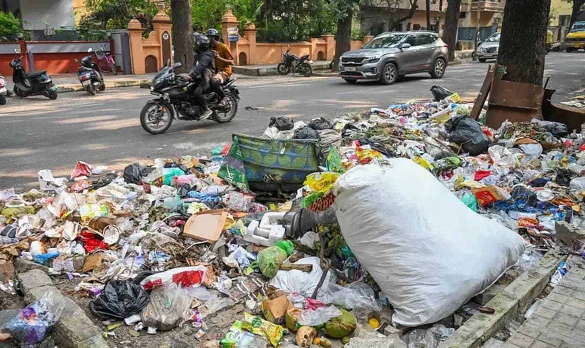 This dumpster diver earns rs 9 lakh a month selling garbage_gnr