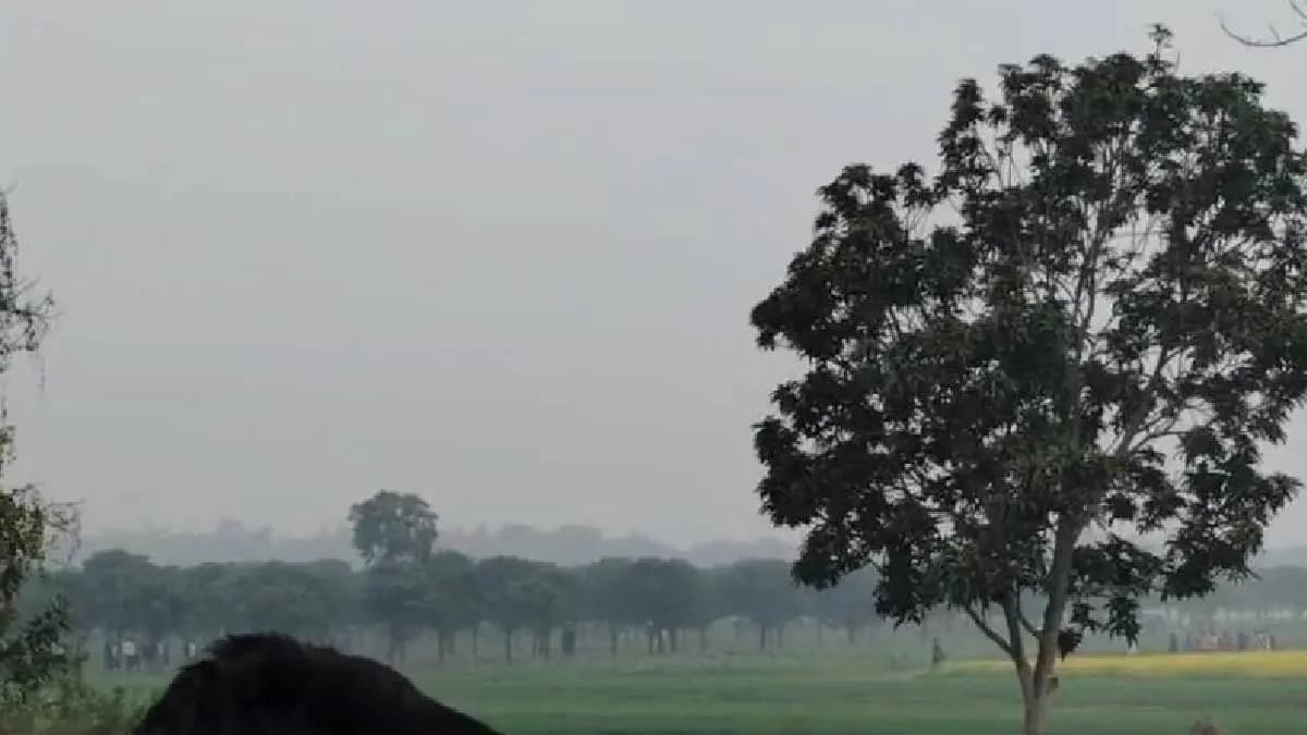Bgb put hindrance allegedly to bsf during making barbed fencing on the border gnr