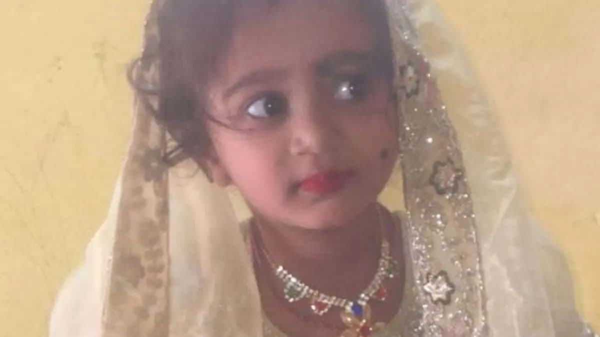 Four year old girl dies of rabies in Bengaluru after being bitten by a stray dog