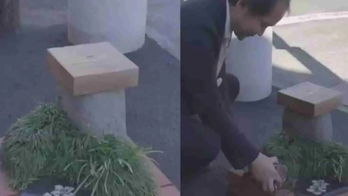 World’s Smallest Park  in japan