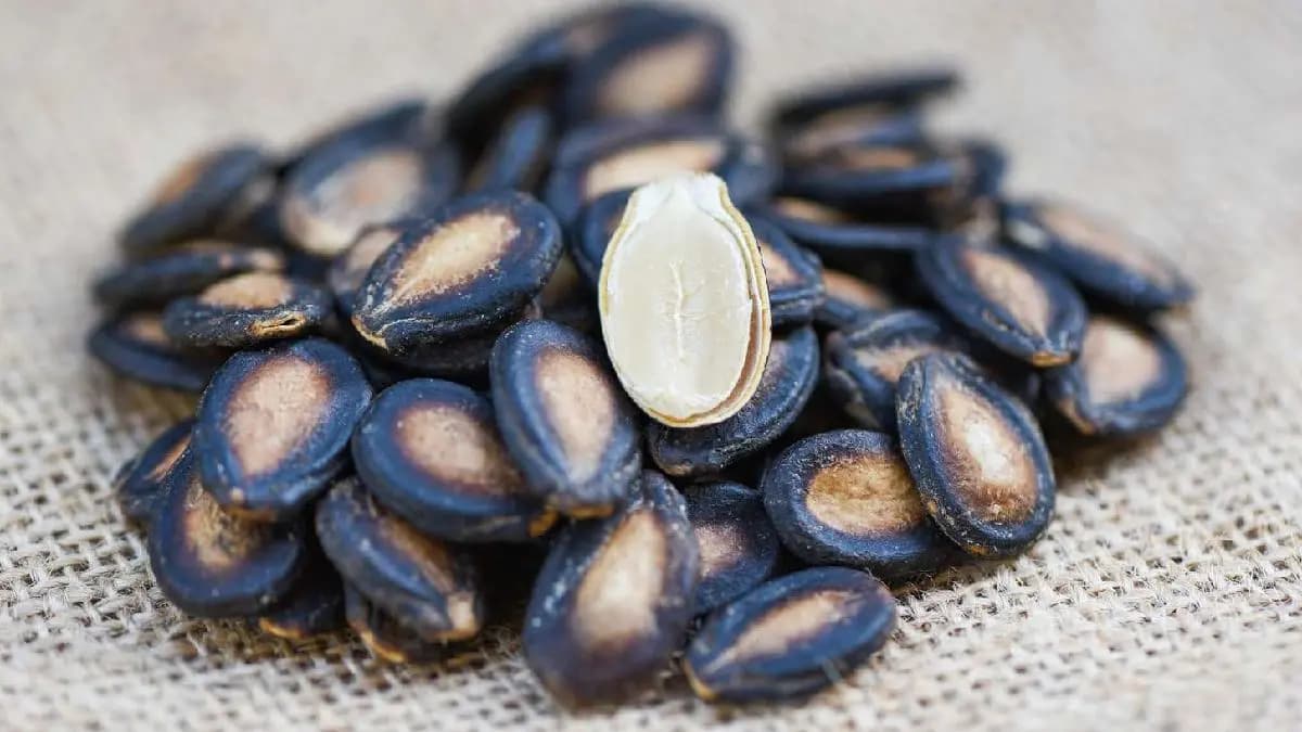 Watermelon seeds help reduce bad cholesterol and decrease Cardiac Arrest risk