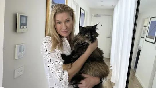 Cat Left On Plane Travels Back And Forth Between New Zealand And Australia gnr 