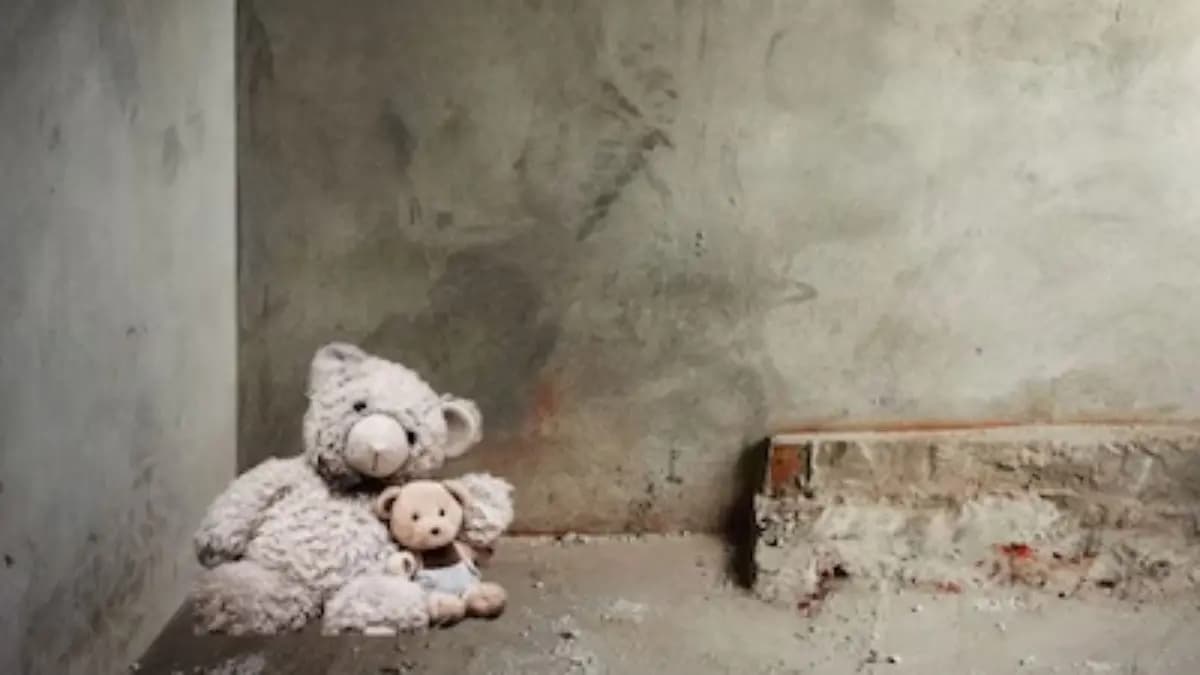 Girl kept in a locked room and liquid diet in last six years in Brazil