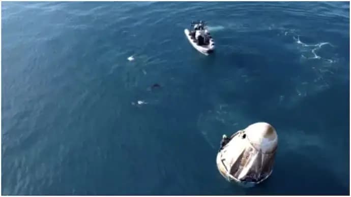 Dolphins Welcome Sunita Williams After Splashdown Off Florida