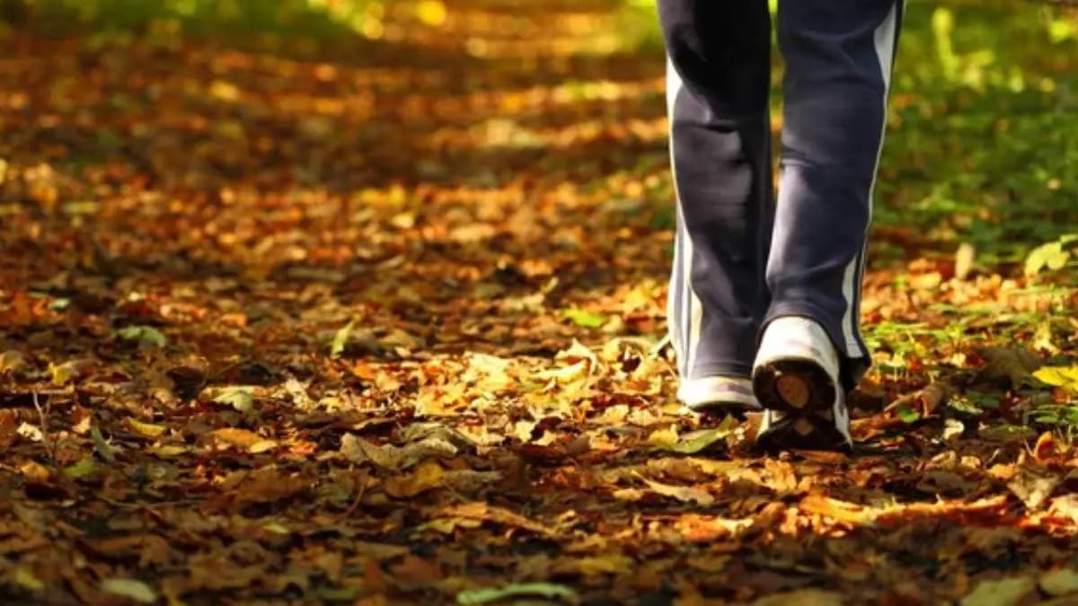 walking habits just after taking a meal is very important for your health and it can prevent many diseases lif