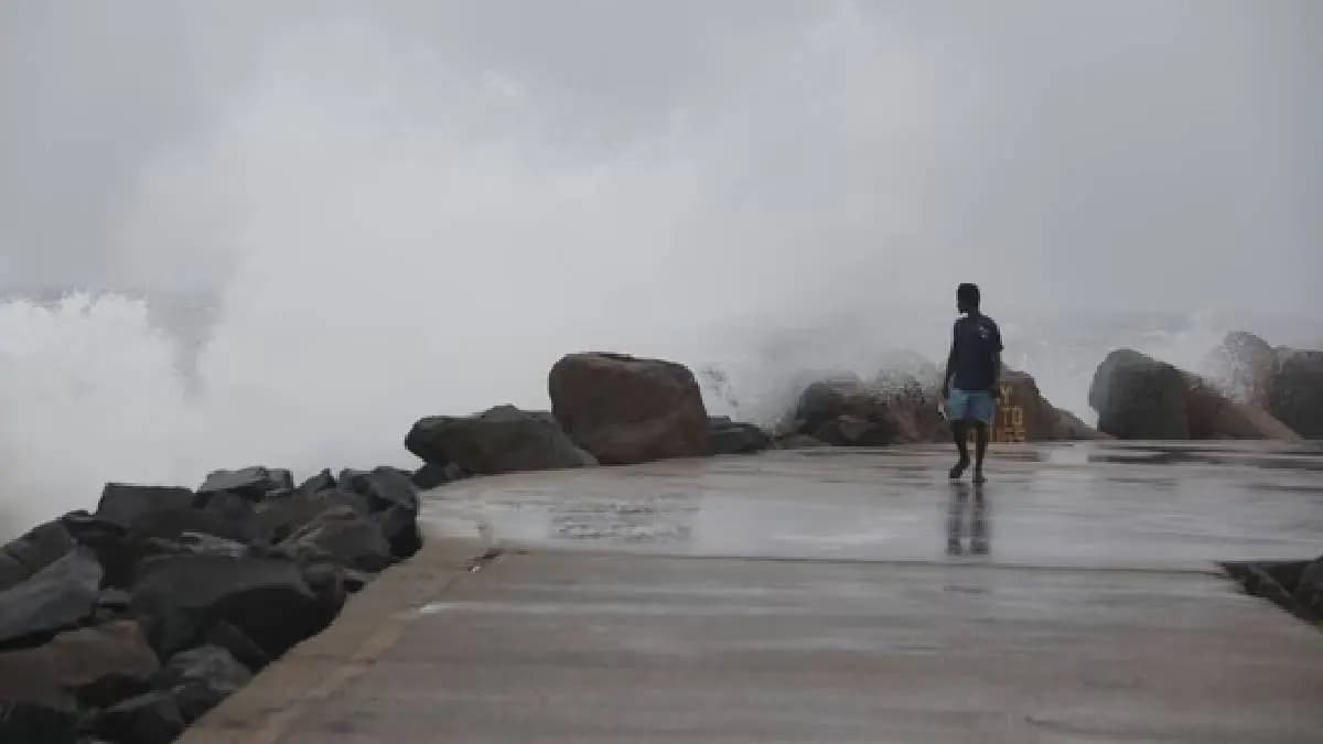 Cyclone Fengal Brings Heavy Rain To Tamil Nadu, Puducherry; Schools, Colleges Shut gnr