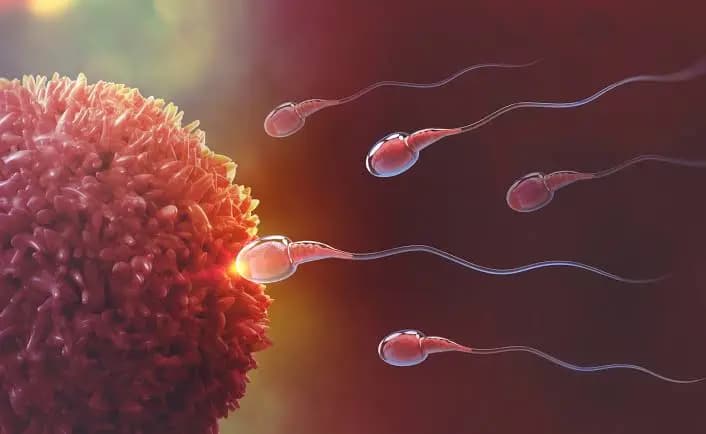 China woman has dual reproductive system_gnr