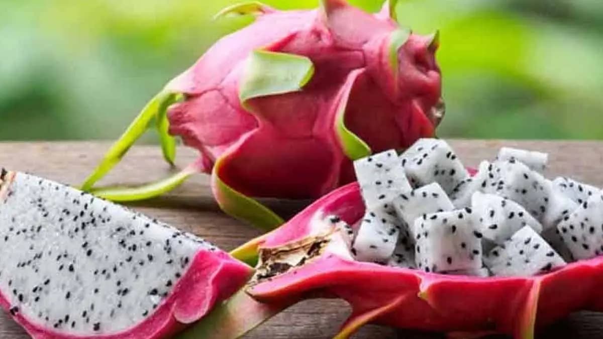 Dragon fruit has many health benefits here is all details LIF