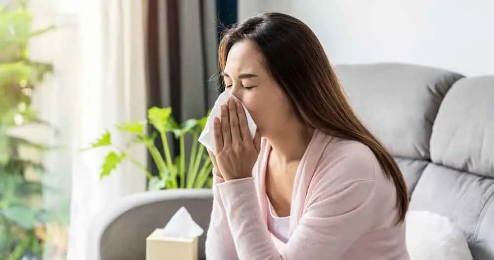 these home remedies will give you relief from sneezing LIF