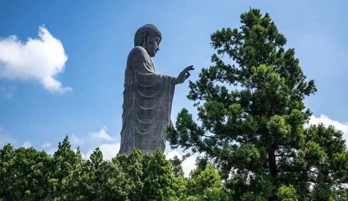 buddhism rode on mangoes to spread in india and abroad gnr