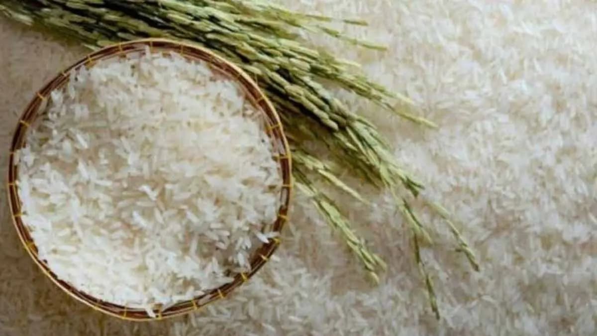 Centre lifts ban on non basmati white rice exports gnr