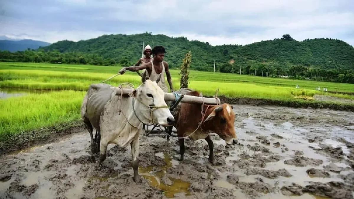PM-KISAN Installment Likely To Be Released After Lok Sabha election
