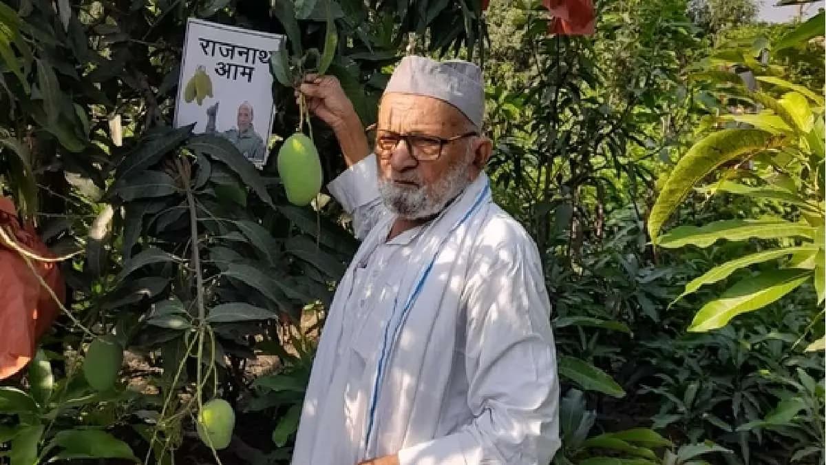 Meet Mango Man of India whose Loves to eat Aishwarya Mango and He Made Hybrid Mangoes