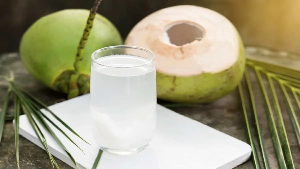 Consuming coconut water can be harmful if you have these problems know details lif