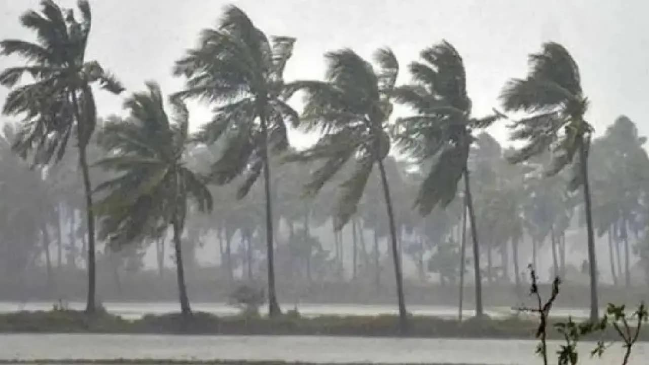 Thunderstorm and rainfall forecast in south bengal