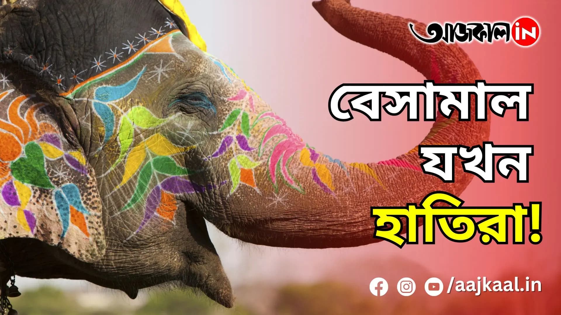 ELEPHANTS OF INDIA