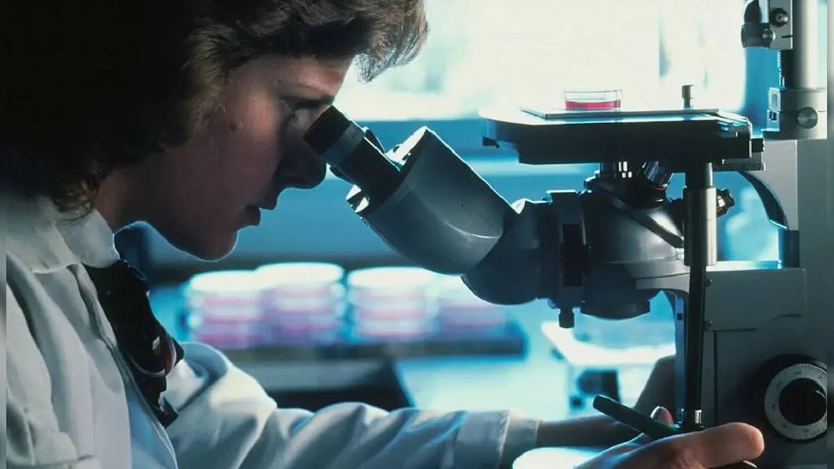 Hope For Cancer Patients New Treatment Strategy Targets Rogue DNA gnr