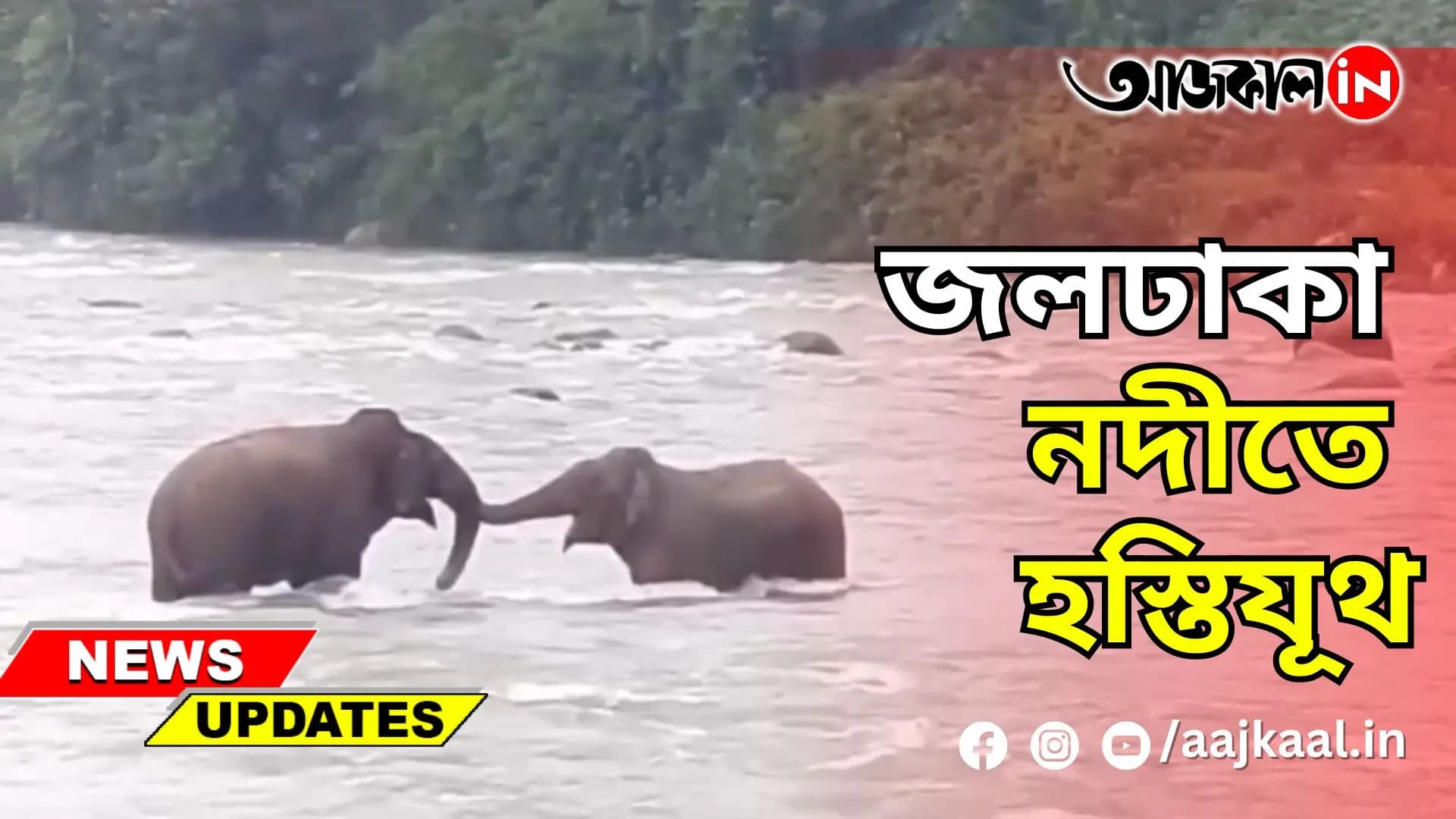 জলঢাকা নদীতে হস্তিযূথ