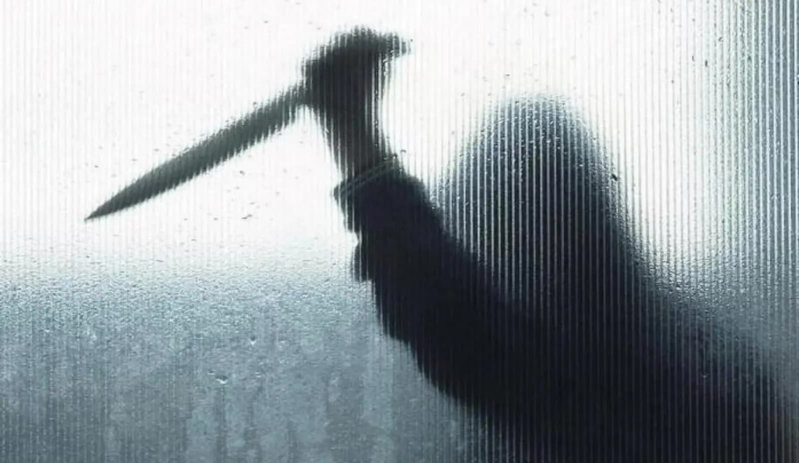 Man stabs wife to death in lucknow